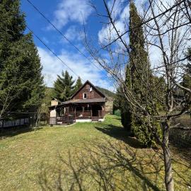 Mountain Cabin Retreat - Terrace, BBQ, Hot Tub，位于Lunca Bradului的酒店