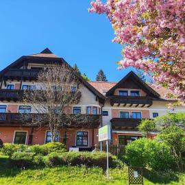 Hotel Kärntnerhof Velden - Zum Schankbaron，位于沃尔特湖畔韦尔登的酒店