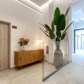 Plaza 5 Rooms Vistalegre，位于马德里的酒店