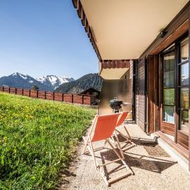 Alpine ski apartment - Petit Chatel