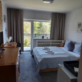Studio apartment 111 - High Tatras，位于什特尔巴的酒店