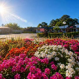 Jolly Knight Motel，位于Casula Station的酒店