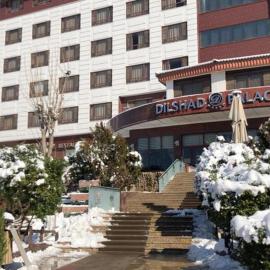 Dilshad Palace Hotel，位于代胡克的酒店