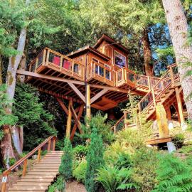 Owl's Perch Treehouse，位于苏克的酒店