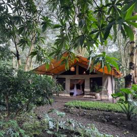 the Roost Tented Camp，位于Arusha的酒店