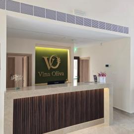 Vina Oliva Hotel，位于皮斯索里的酒店
