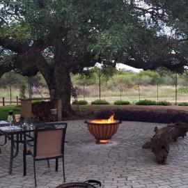 Zebra game farm
