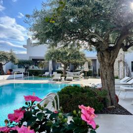 Thassos OLIVIA RESORT，位于波托什的酒店