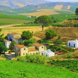 Agriturismo Tarantola，位于阿尔卡莫的酒店