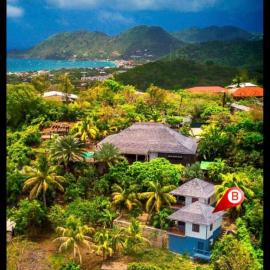 Les Nids Tropicaux，位于Marigot的酒店