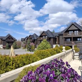 Monterai Resort，位于波亚纳布拉索夫的酒店