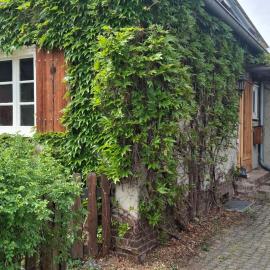 Ferienhaus Witta，位于拉德博伊尔的酒店