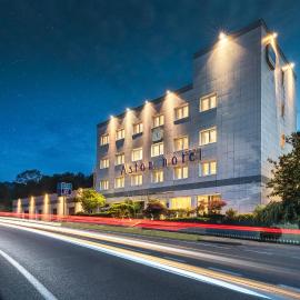 Aston Hotel，位于皮诺托里尼斯的酒店
