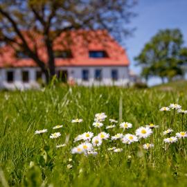 Gutshaus Ketelshagen，位于普特布斯的酒店