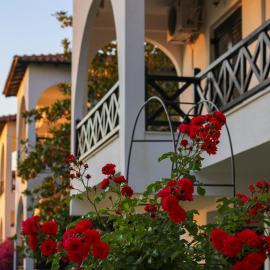 Anthema Apartments，位于卡洛吉亚的酒店