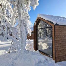 Arctic Nest Forest Cabin，位于Kotila的酒店