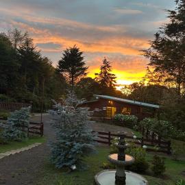 Curuba Lodge，位于Copey的酒店
