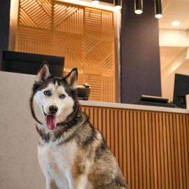Hyatt Place Tampa Airport/Westshore，位于坦帕的酒店