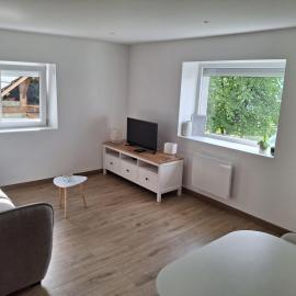 Appartement vue lac Léman，位于吕格兰的酒店