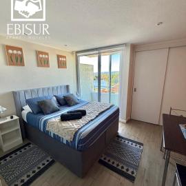 EBISUR Apart - Hoteles CRUZ，位于康塞普西翁的酒店