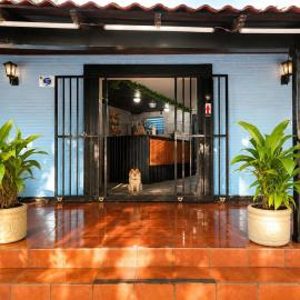 hotel Oasis Managua Experience - HOME，位于马那瓜的酒店