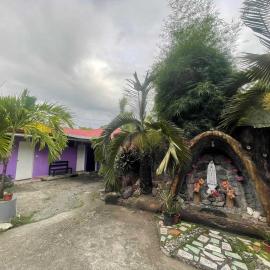 OYO 1214 Cherry Travellers Inn,位于San Jose de Buenavista的酒店