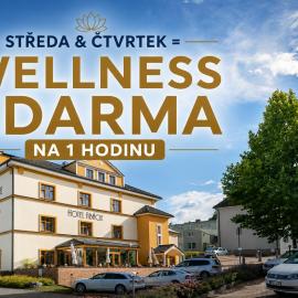 Hotel Abácie & Wellness，位于瓦拉什斯凯梅济日奇的酒店