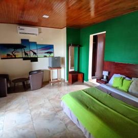 Hotel Palm Rock Beach,位于圣佩德罗的酒店