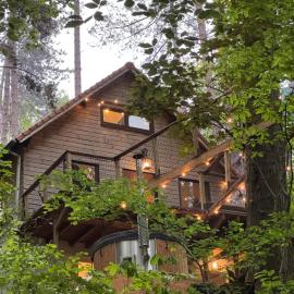 Chalet dans les bois avec bain nordique et cinéma，位于Genappe的酒店