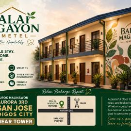 Balai Magayon Barkada Room，位于Aplaya的酒店