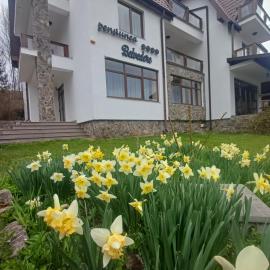 Belvedere GreșuLepșa，位于Greşu的酒店