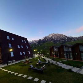 Vidis Chalet Boutique Hotel，位于泰斯的酒店