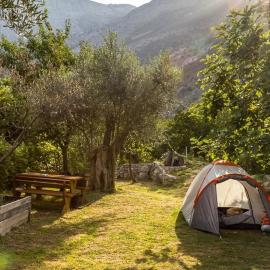 My Olive Garden Camp，位于巴尔的酒店