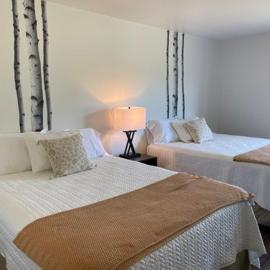 Eagle Peak Lodge & Cabins，位于阿什顿的酒店