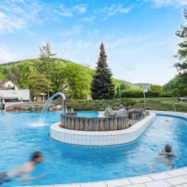 Solehotel Tannenhof，位于巴特哈尔茨堡的酒店