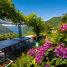 Essentia Guest House