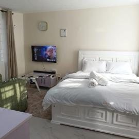 Legatus Cozy Studios - Zambia Stage Ngong Town，位于Ngong的酒店