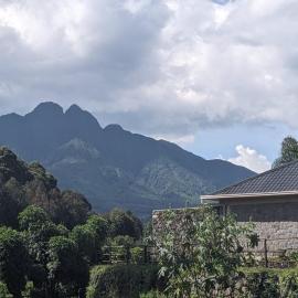 Ubucuti Gorilla Lodge
