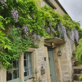 Lamb Cottage Bed and Breakfast，位于博克斯的酒店