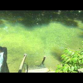 Rancho ABA DO BETIONE，位于博多克纳的酒店