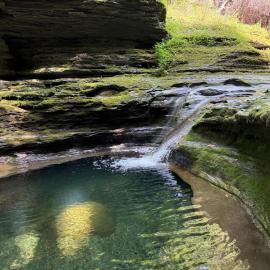 Seneca Gorge Glamping，位于Hector的酒店