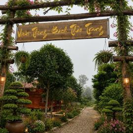 Herbal Farm Day Retreat- Viên Thông Đường，位于Thôn Ðâ的酒店