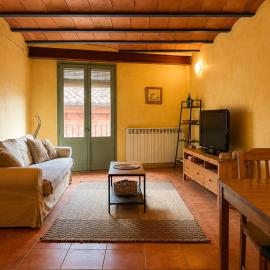 Apartamentos Saltarel·lo，位于贝萨卢的酒店