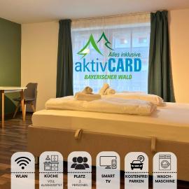 Designapartment Zwiesel Pool Sauna AktivCard Balkon Bayerischer Wald，位于茨维泽尔的酒店