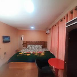 St Nicholas Guest Inn，位于Galadima的酒店