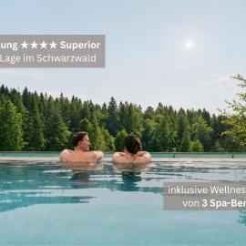 Das Waldhotel - Spa & Wellness Resort，位于托特瑙的酒店