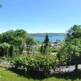 Major Lake Luxury Home B&B，位于多尔梅莱托的酒店