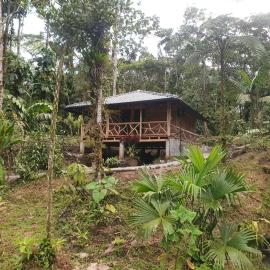 Finca Las Palmas Ecolodge，位于普约的酒店