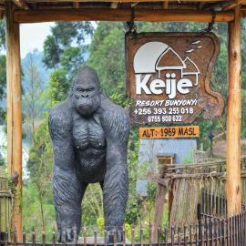 Keije Resort Bunyonyi，位于卡巴莱的酒店