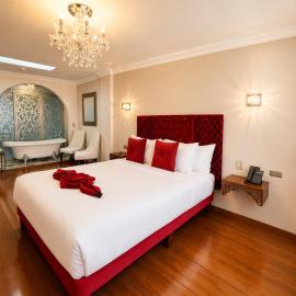 Dakani Hotel Boutique NEW